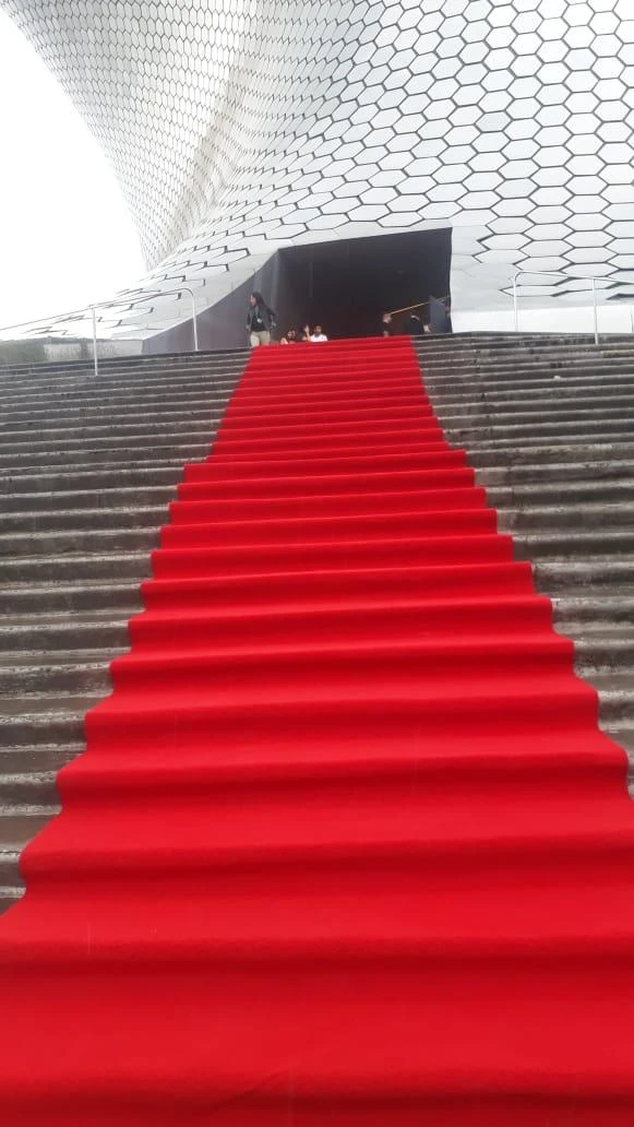Alfombras de colores